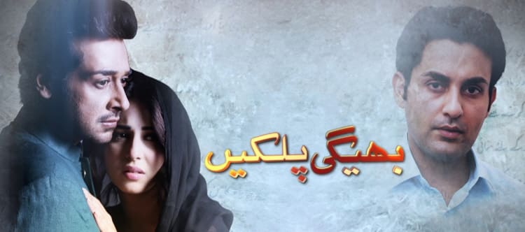 Смотреть пакистанский сериал Слёзы / Bheegi Palkein (Пакистан, 2015) онлайн все серии на русском языке